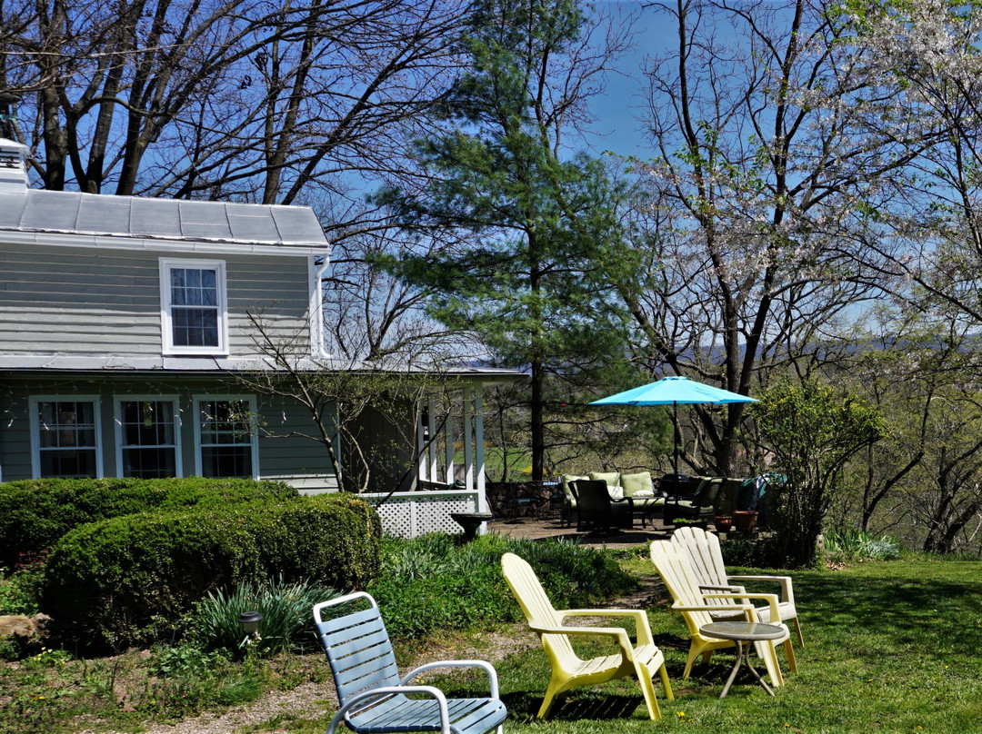 Jacob Swartz House主图