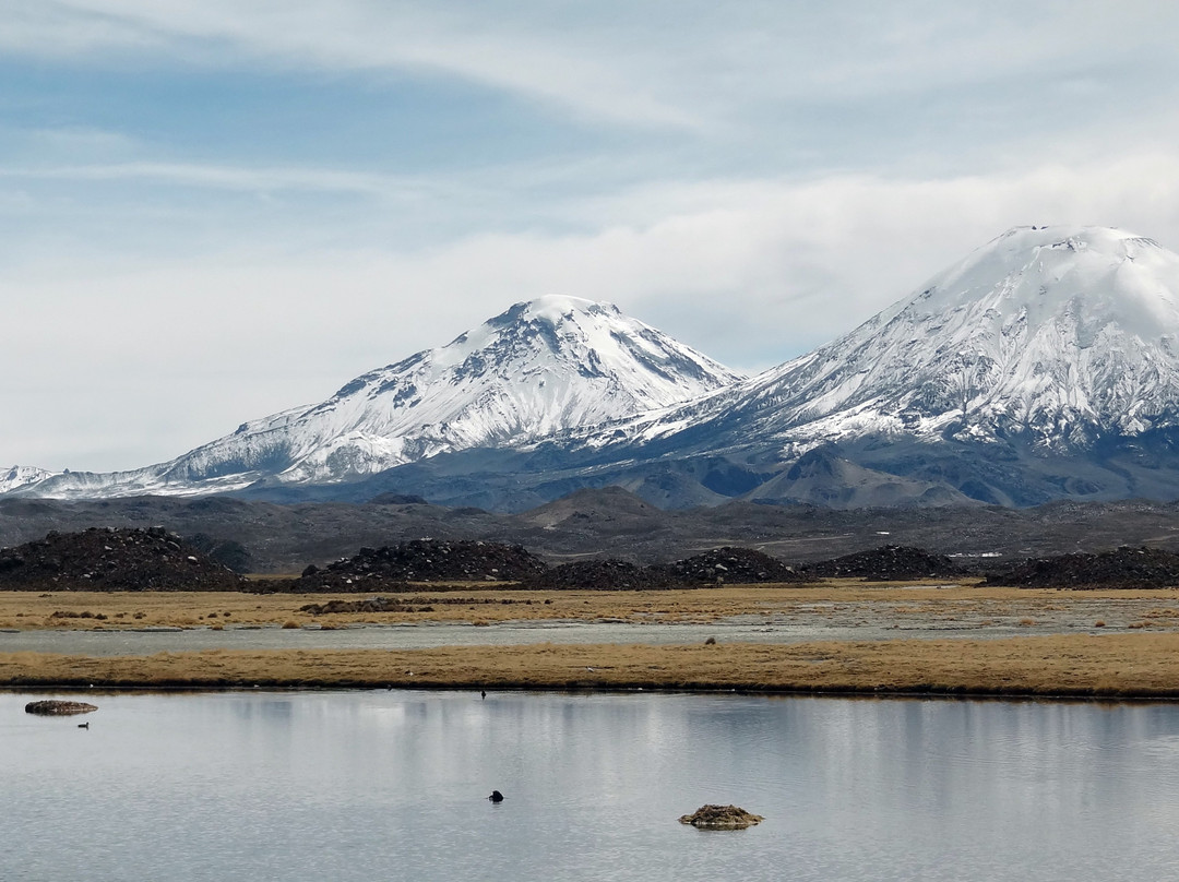 Parinacota Volcano-Putre必去景点