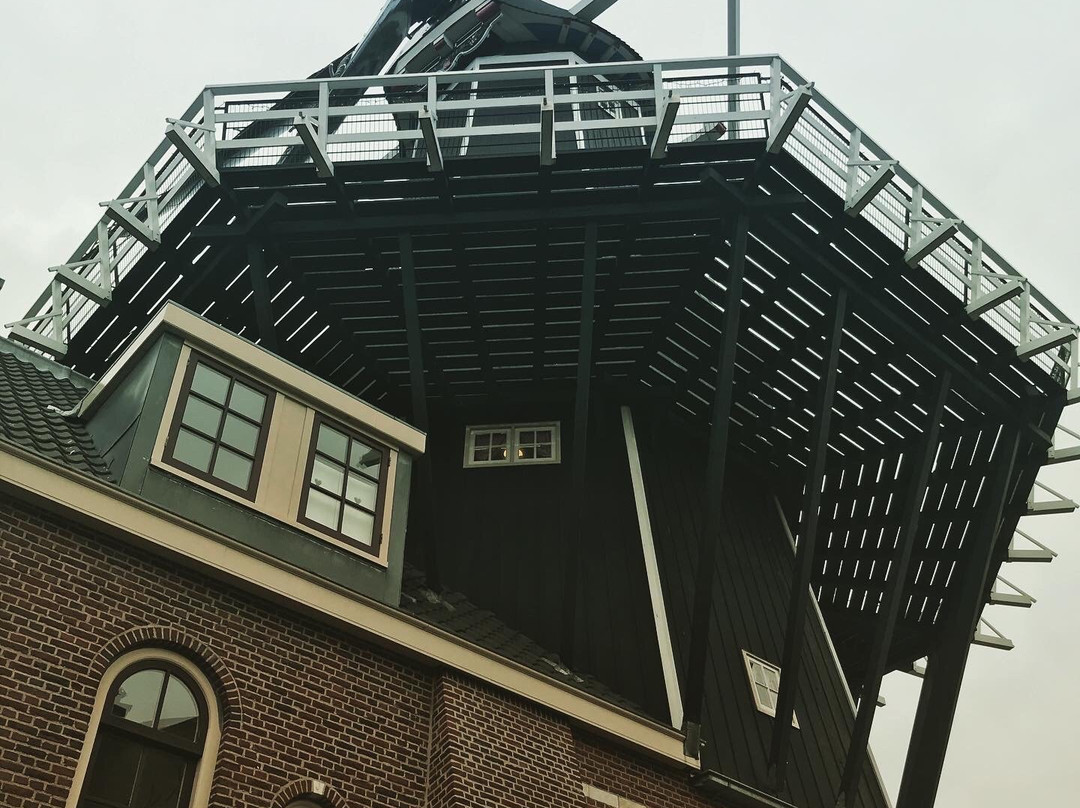 Molen De Adriaan Museum景点图片