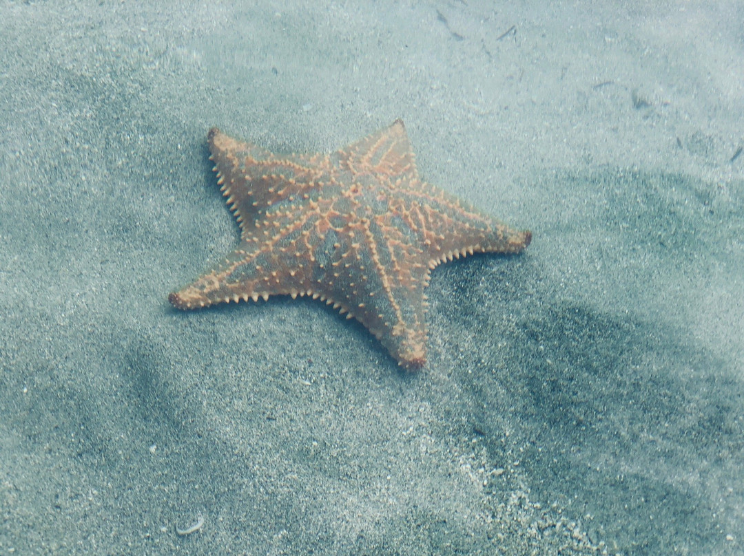 Surf Break at Paunch主图