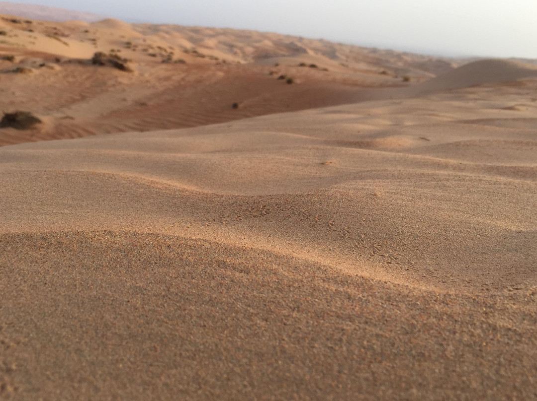 Oriental Nights Rest House (Tour Operator )-Al Sharqiyah必去景点