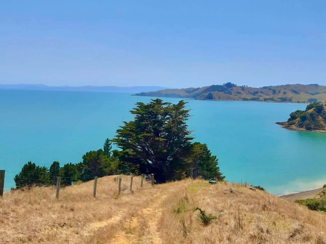 Waitawa Regional Park-奥克兰中心地区必去景点