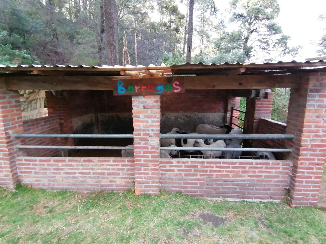 Rancho Didáctico La Poza Del Indio-墨西哥城必去景点