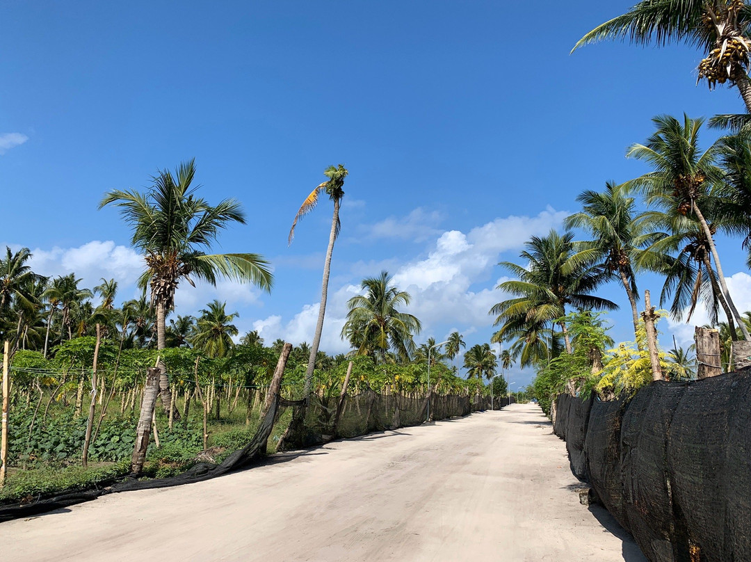 Masjidhul Aisha-图杜岛必去景点