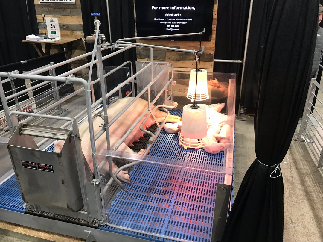 Pennsylvania Farm Show Complex and Expo Center-哈里斯堡必去景点