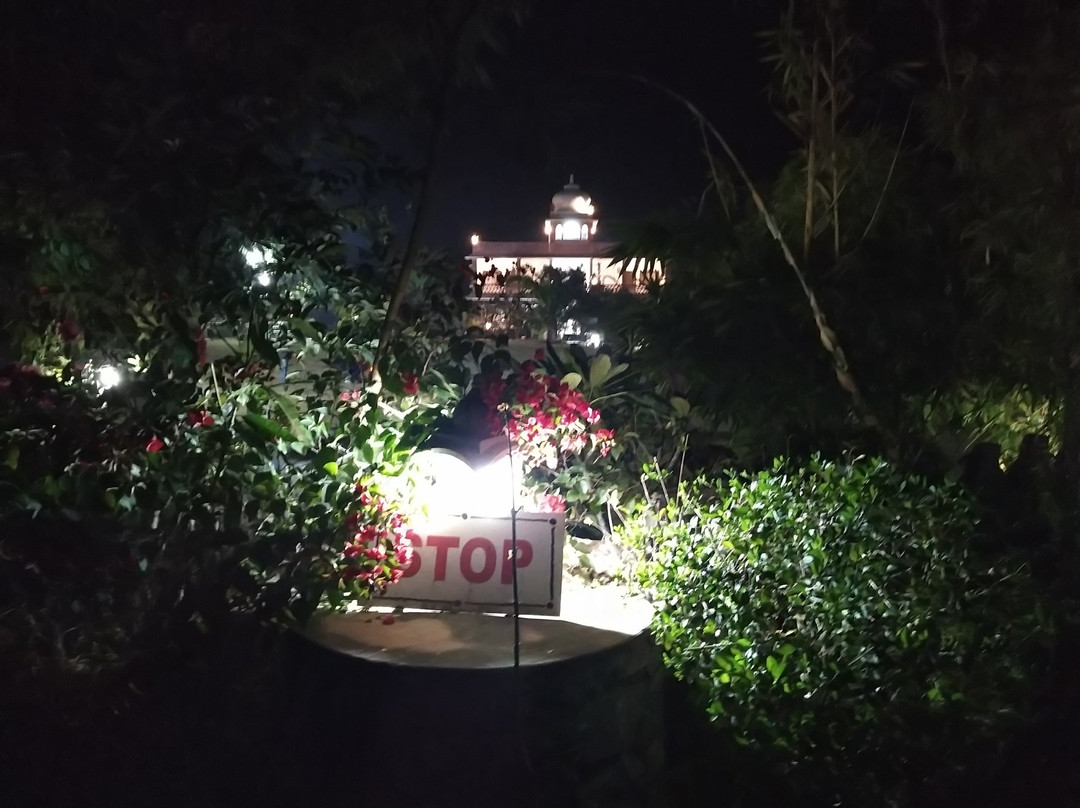 The Sky Imperial Kumbhalmer Resort主图