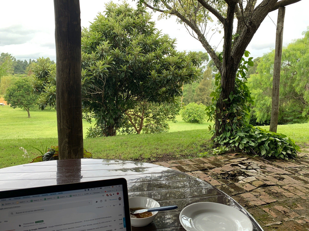 Hotel La Castellana主图