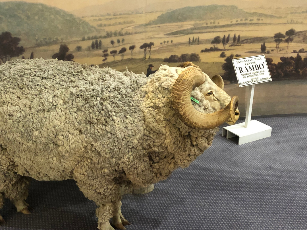 Tasmanian Wool Centre.-罗斯必去景点