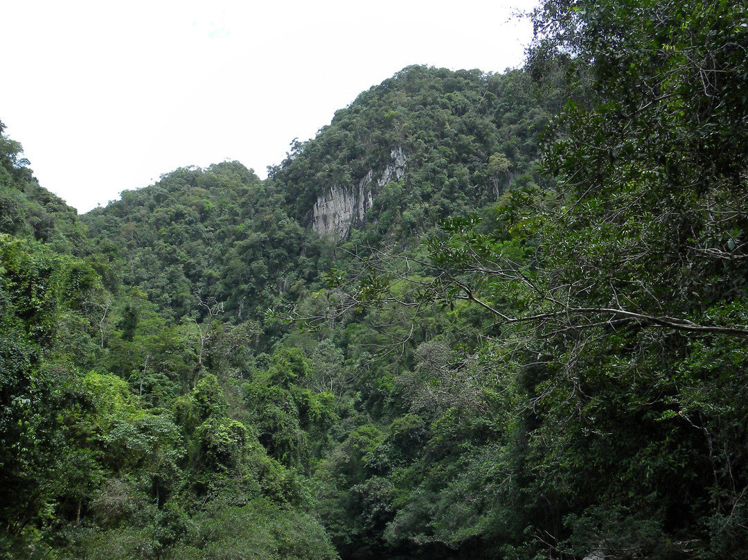 Canon del Rio Claro Reserva Natural景点图片