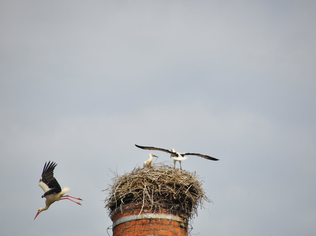 Penzion Dvorce主图