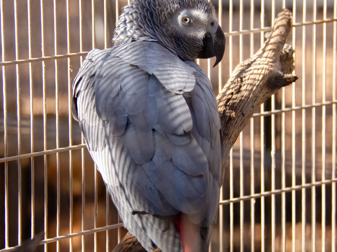 Yodfat Monkey Forest-Yodfat必去景点