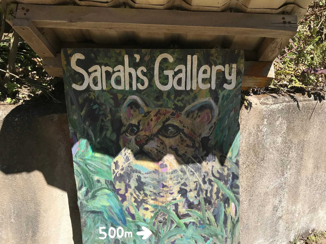 Sarah's Gallery景点图片