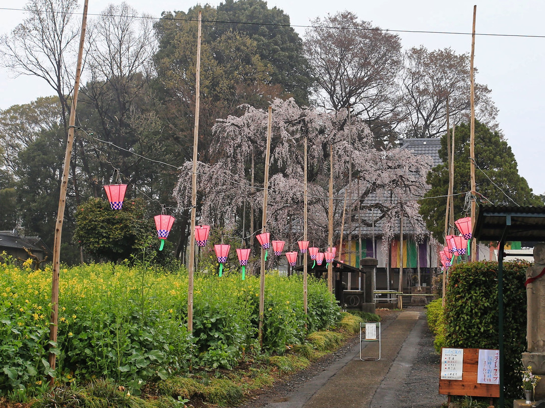 Jigan Ji-Temple-坂户市必去景点