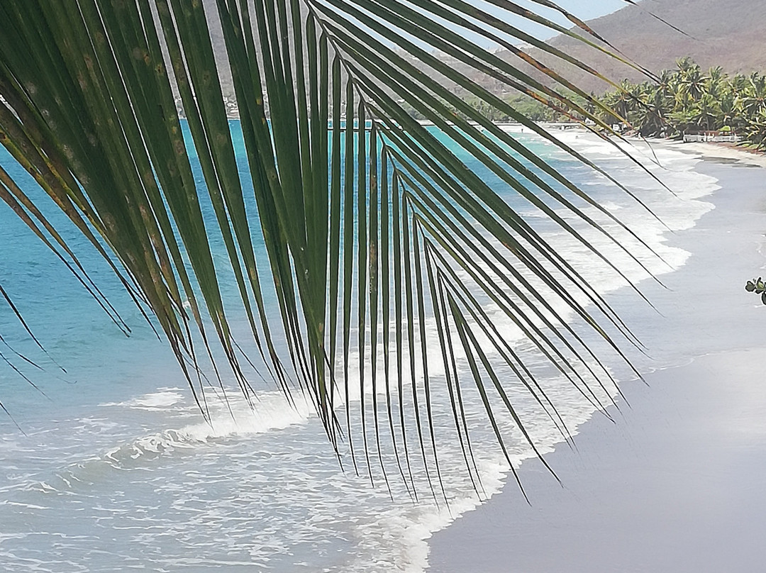 Pointe du Bout Beach-Trois-Ilets必去景点