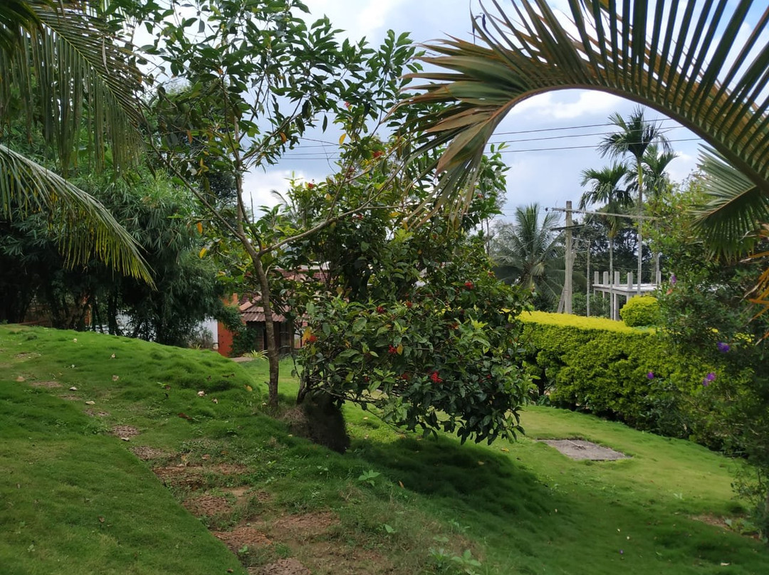 Thejas Resorts Wayanad主图