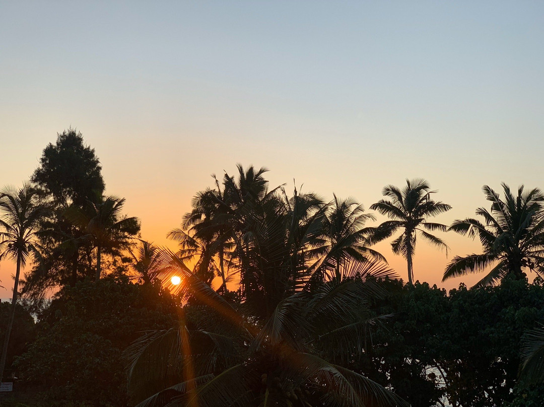 Paradise Beach Resort主图