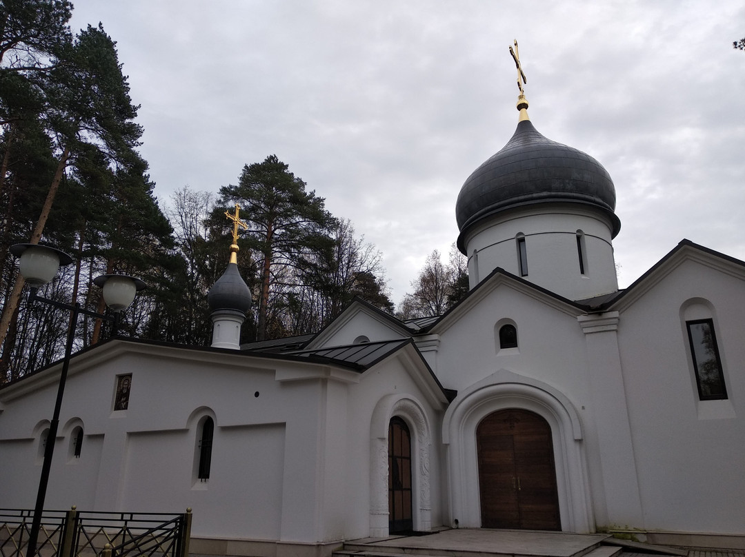 Temple of the Holy Martyr Vladimir景点图片