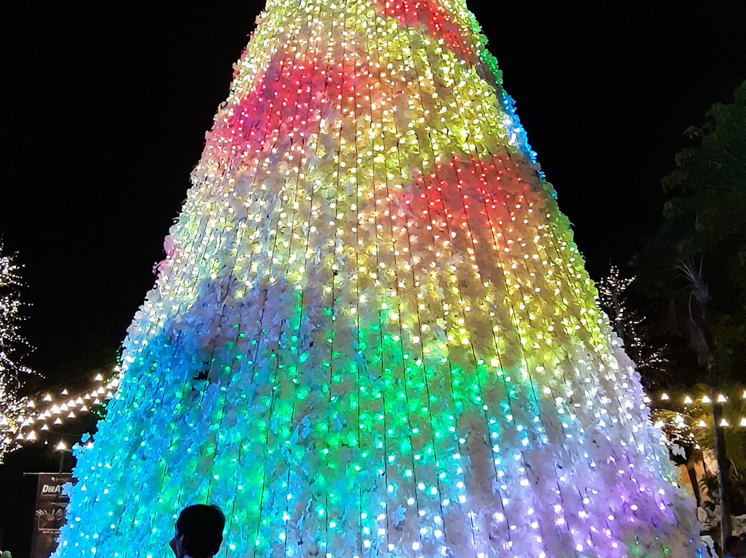 Malang Night Paradise景点图片