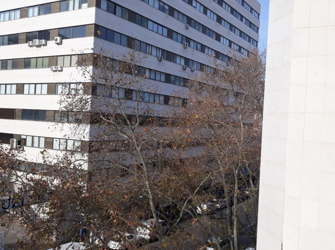 图里亚酒店主图