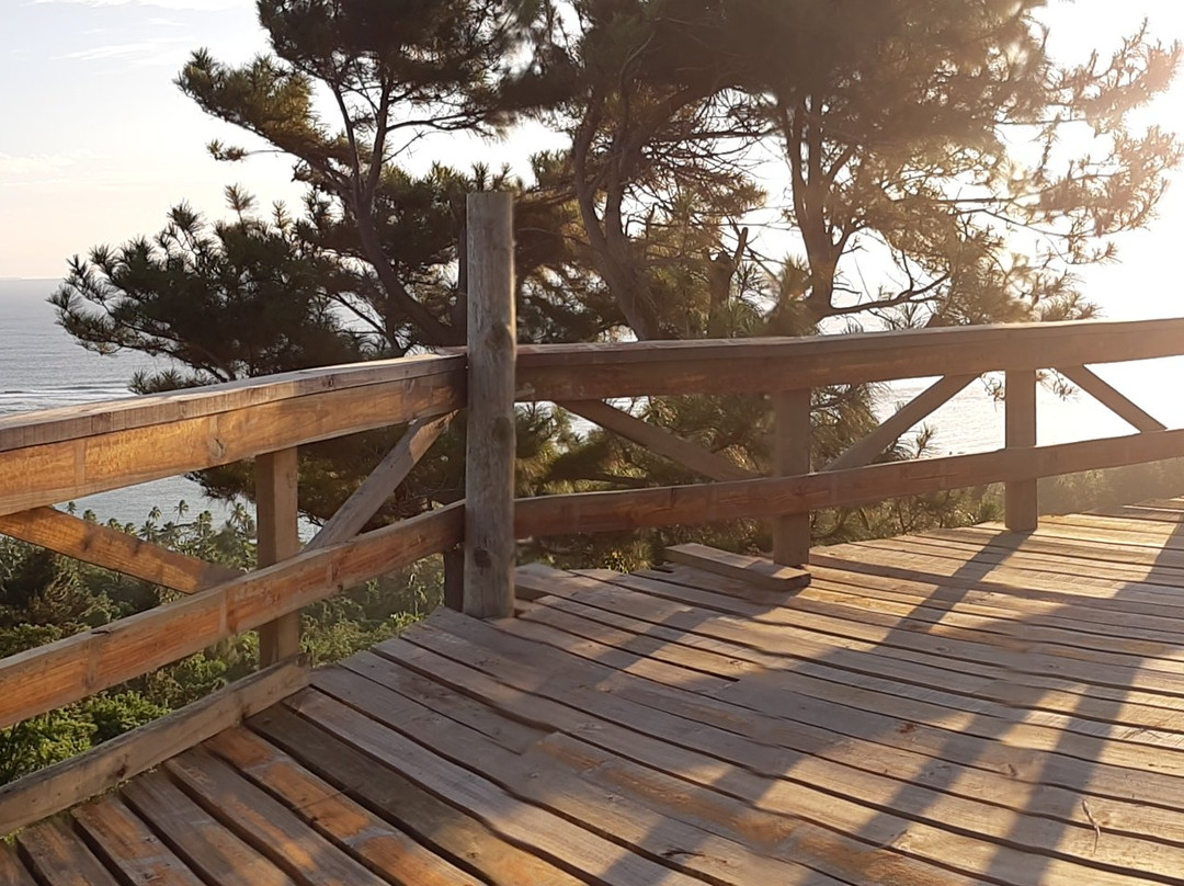 Eden Biodiversity Park景点图片