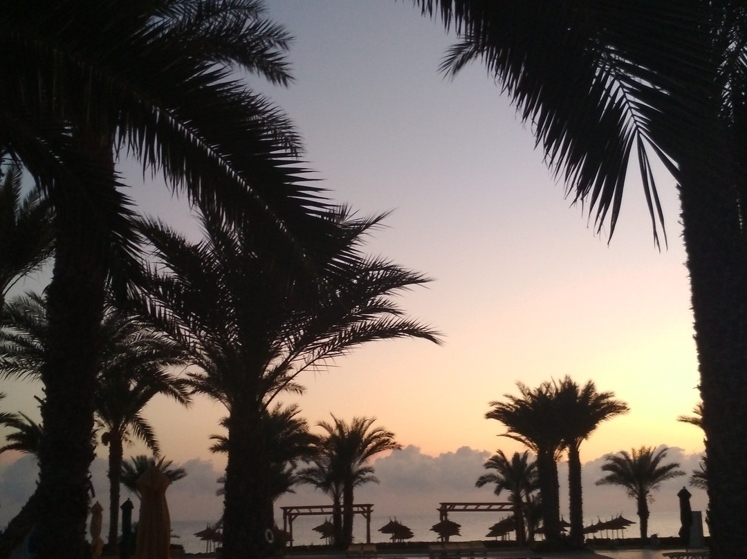 Le Diana Beach主图