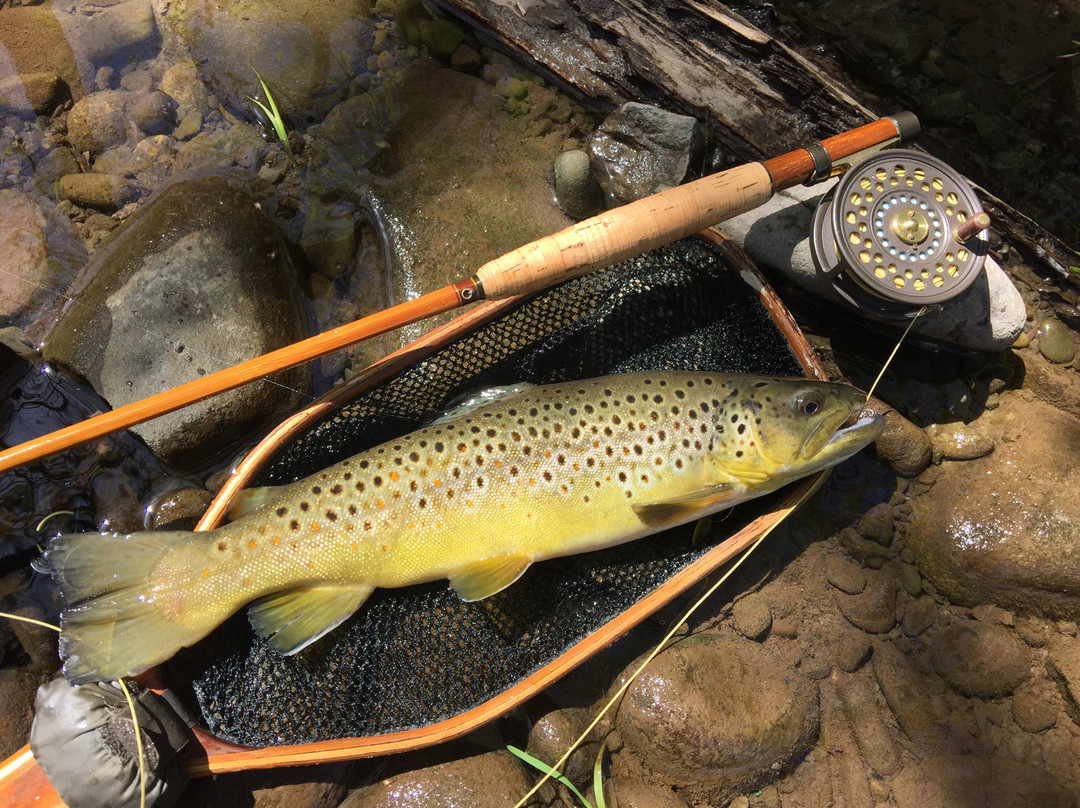 Beaverkill Valley Inn主图