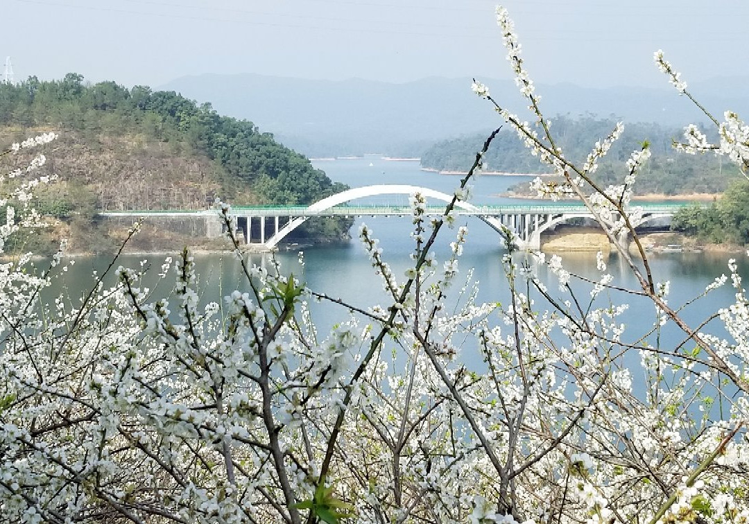 流溪河森林公园-从化市必去景点
