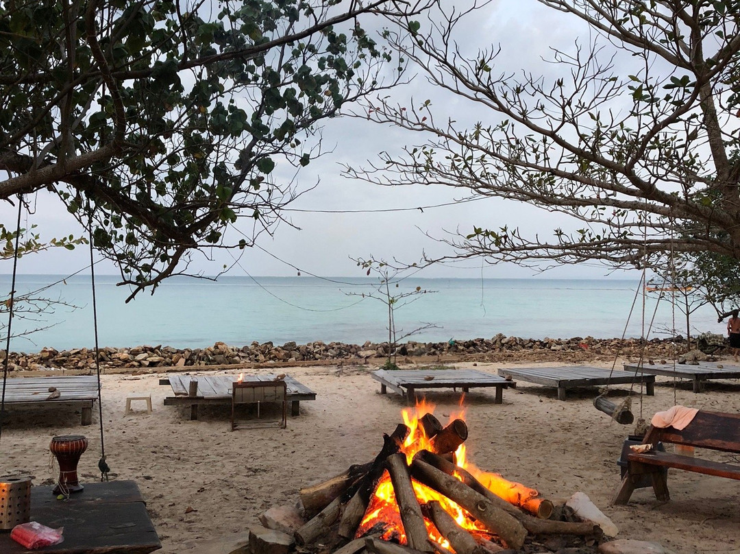 Coconut Beach景点图片