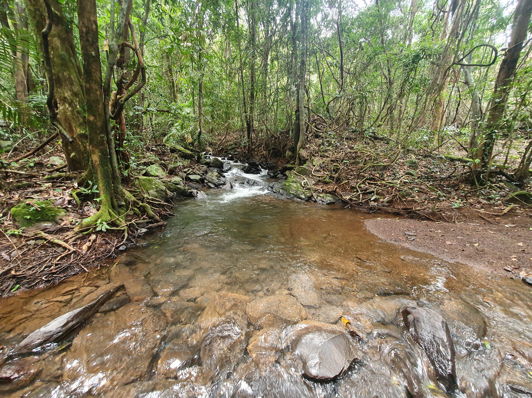 Netravali Wildlife Sanctuary景点图片
