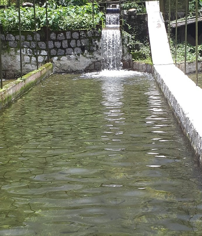 Trutas da Serrinha景点图片
