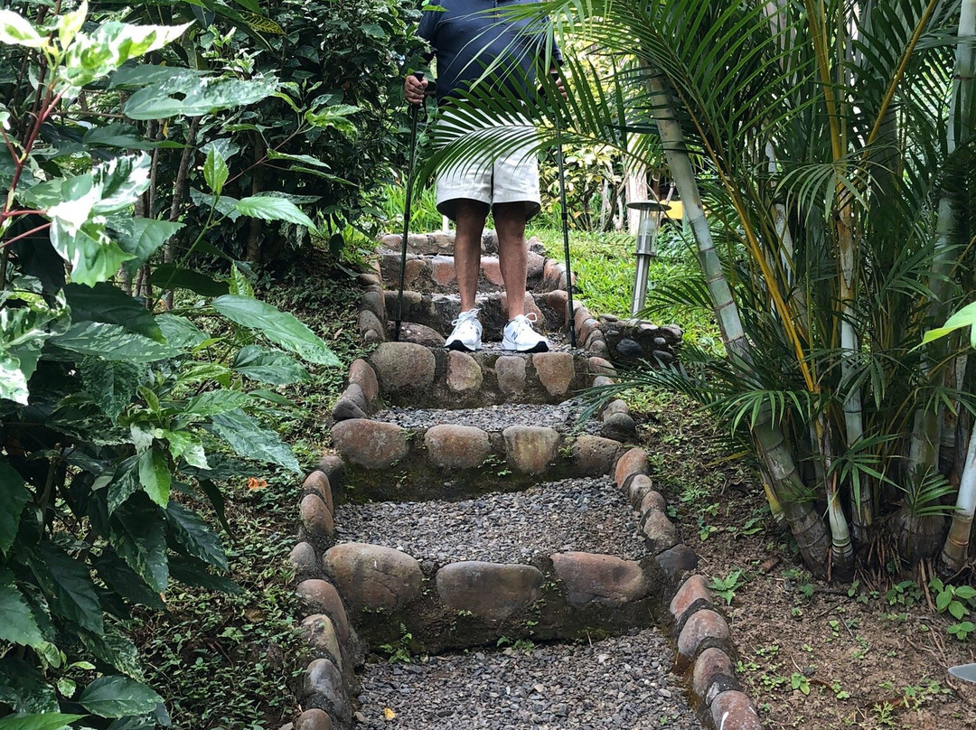 Tiriguro Lodge主图