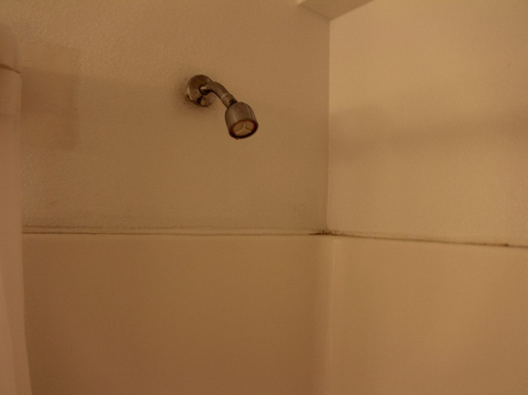 Country Inn & Suites by Radisson, Orangeburg, SC主图