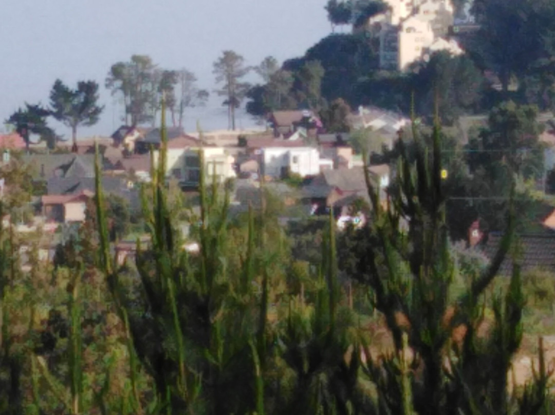 Playa de Pingueral-Dichato必去景点