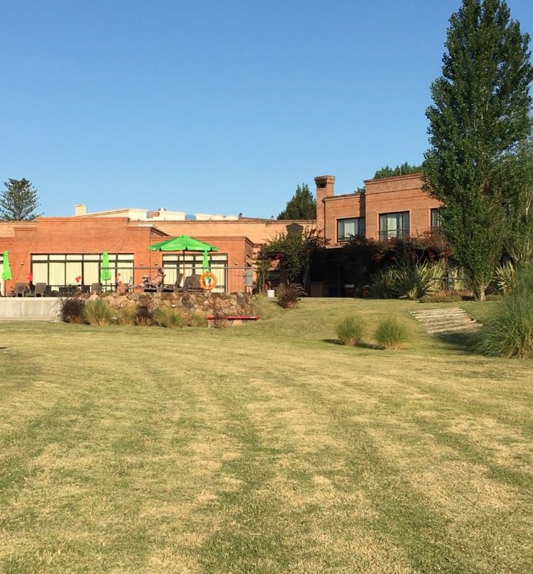 Regency Park Hotel主图