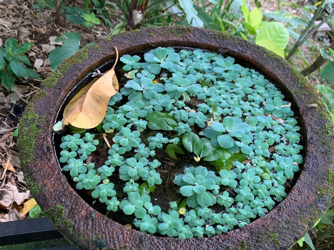 阿旺阿旺别墅主图