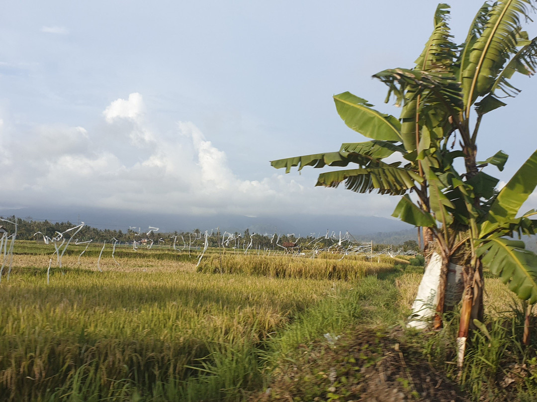 Pande Guest House主图