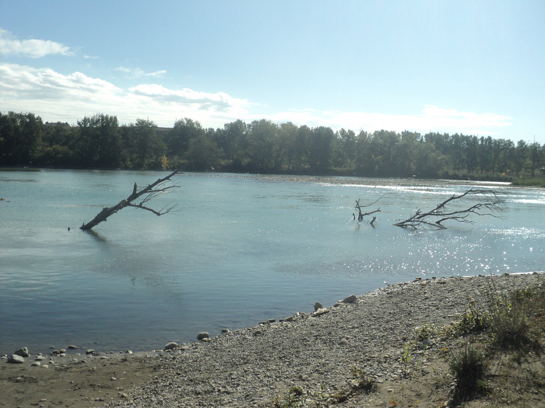 Inglewood Bird Sanctuary and Nature Centre-卡尔加里必去景点