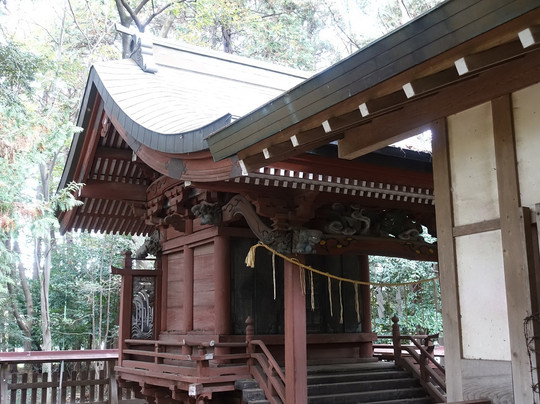 Kobari Shrine-伊奈町必去景点