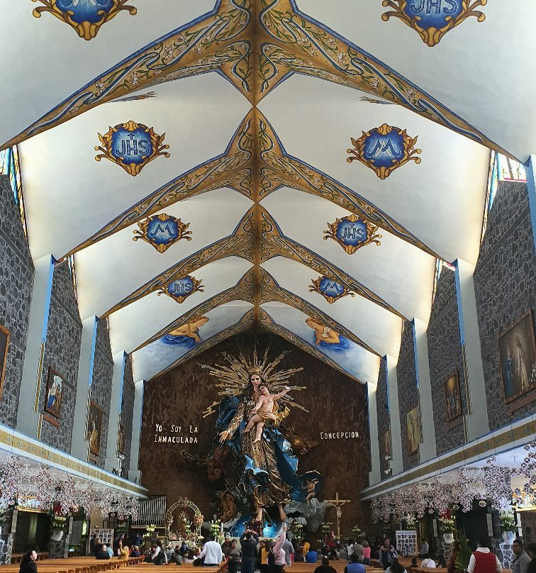 Basilica of the Immaculate Conception景点图片