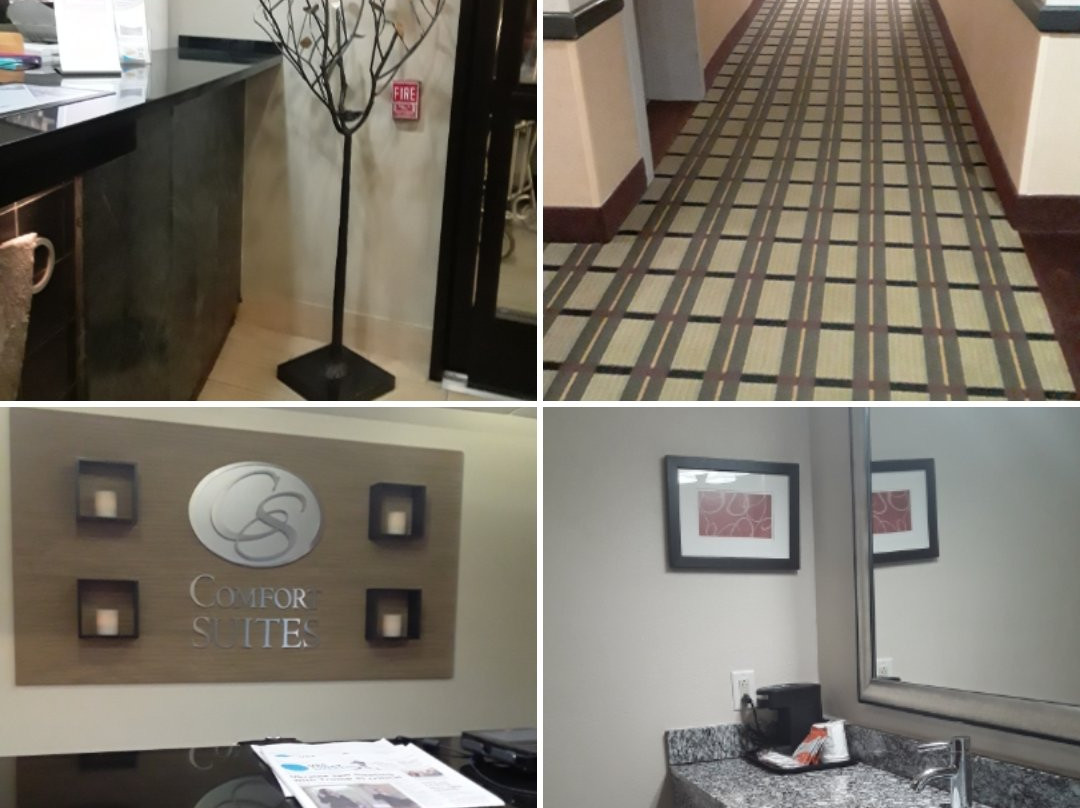 Comfort Suites Pittsburgh Airport主图