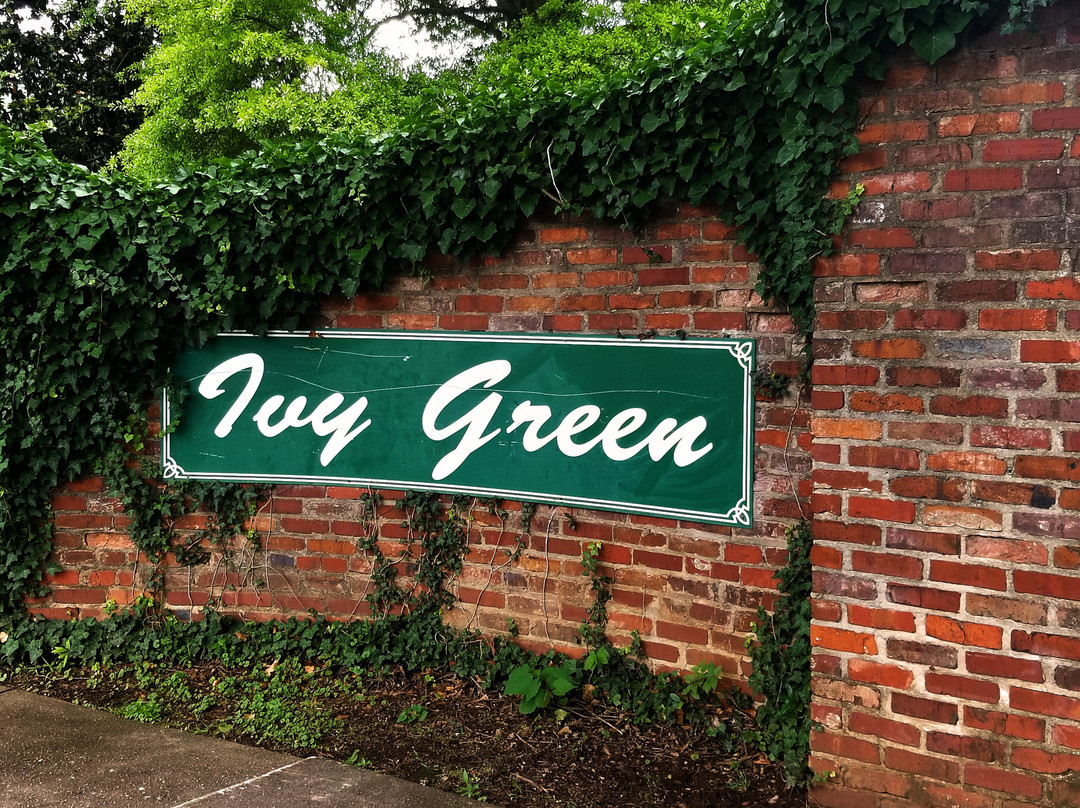 Ivy Green景点图片