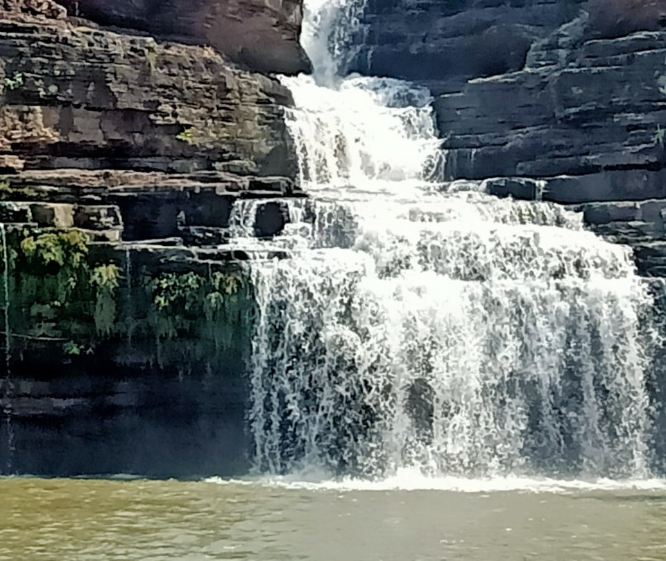 Panna National Park景点图片