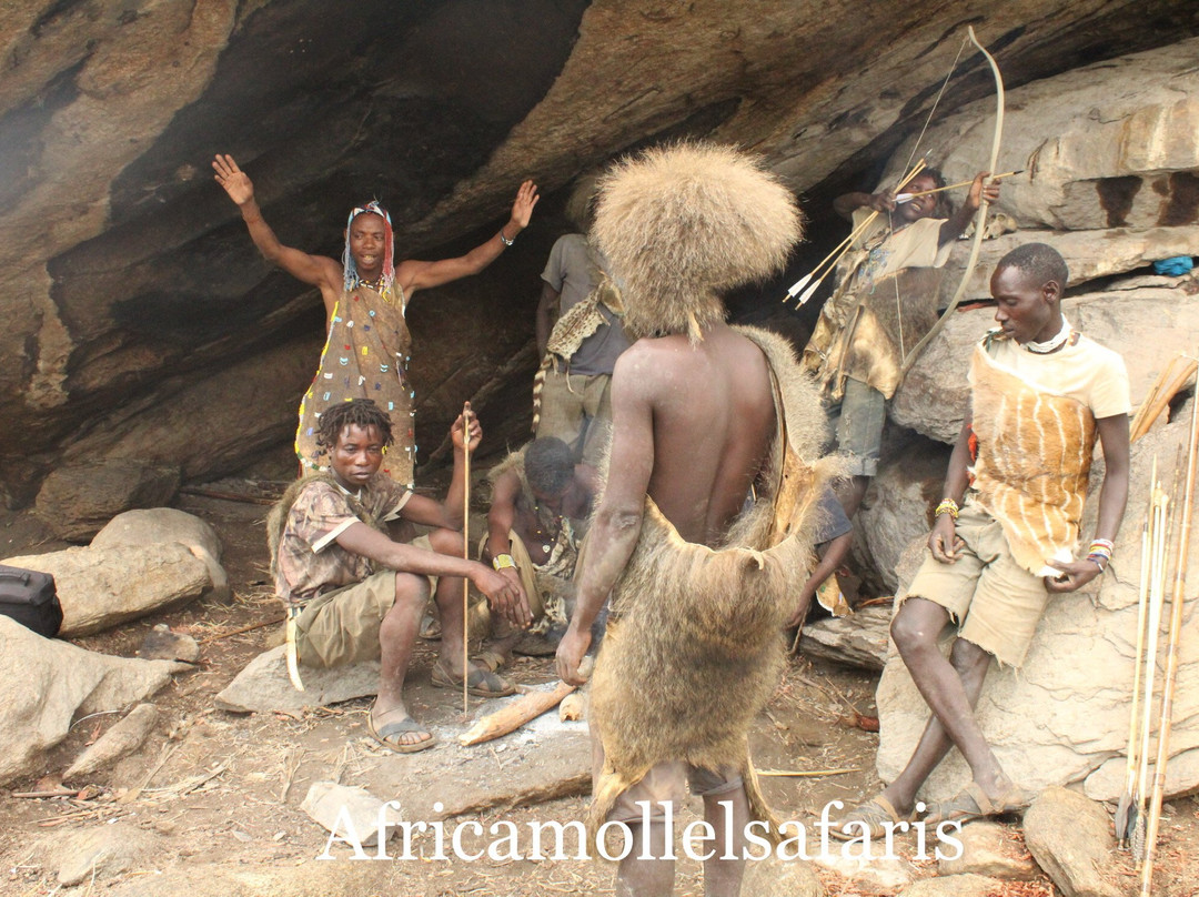 Africa Mollel Safaris-阿鲁沙必去景点