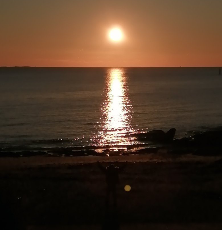 Plage de Cornouaille-孔卡尔诺必去景点