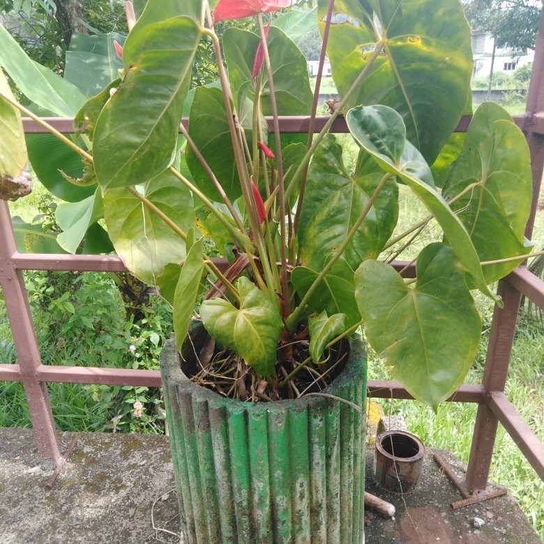 普瑞雅别墅酒店-portrait