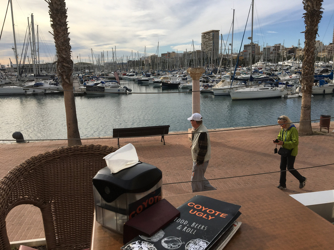 Old Town Alicante B&B主图