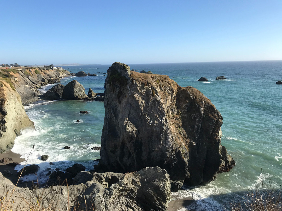 Sonoma Coast State Beach景点图片