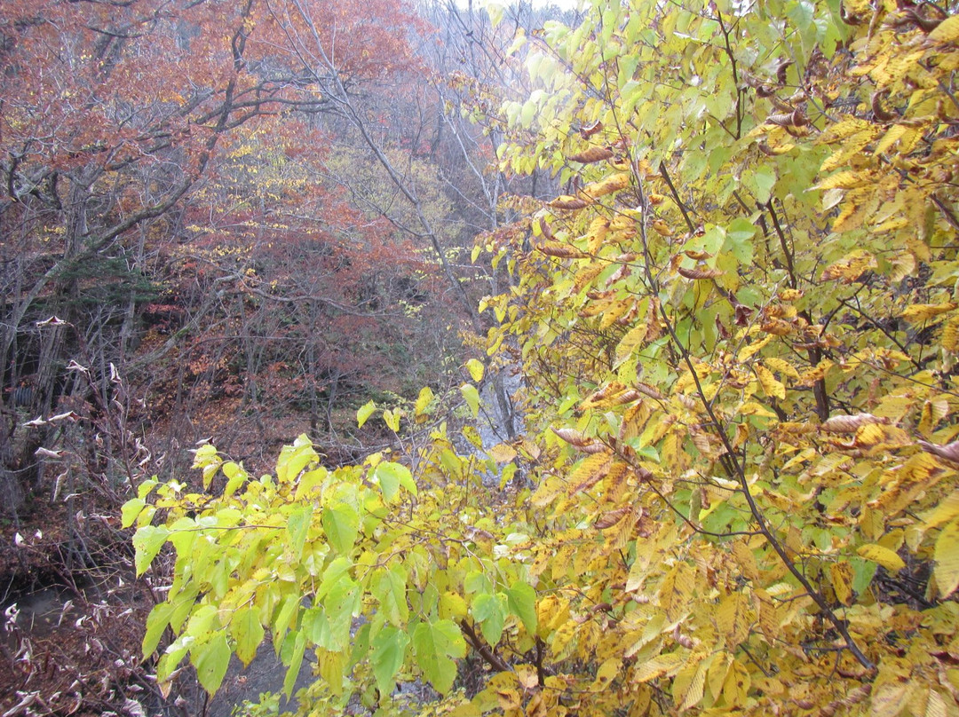 Yacho Bridge-上砂川町必去景点