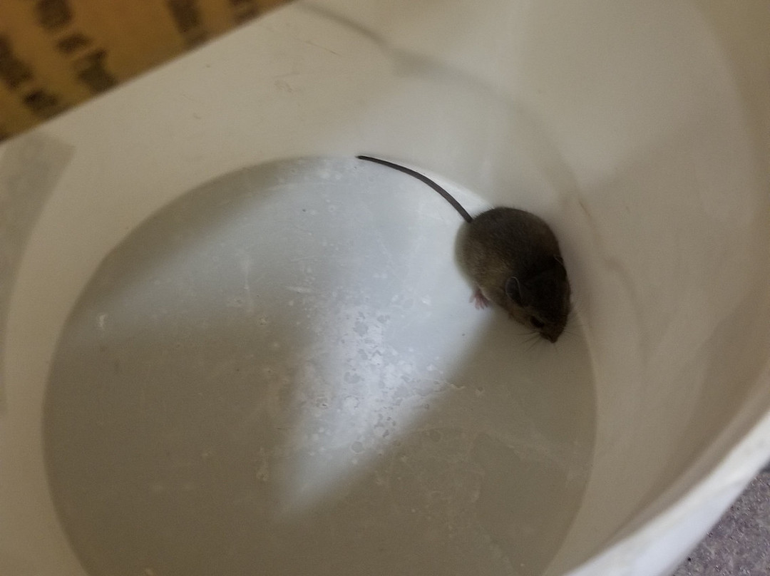 Damascus Brewery-Damascus必去景点