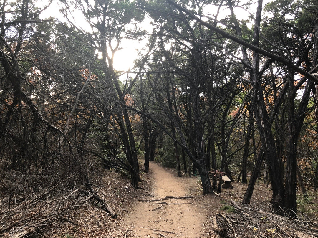 Cedar Ridge Preserve managed by Audubon Dallas.-达拉斯必去景点